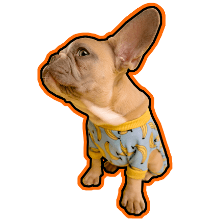 Resources - Need Help Setting Them Up? We Can Do That Too!