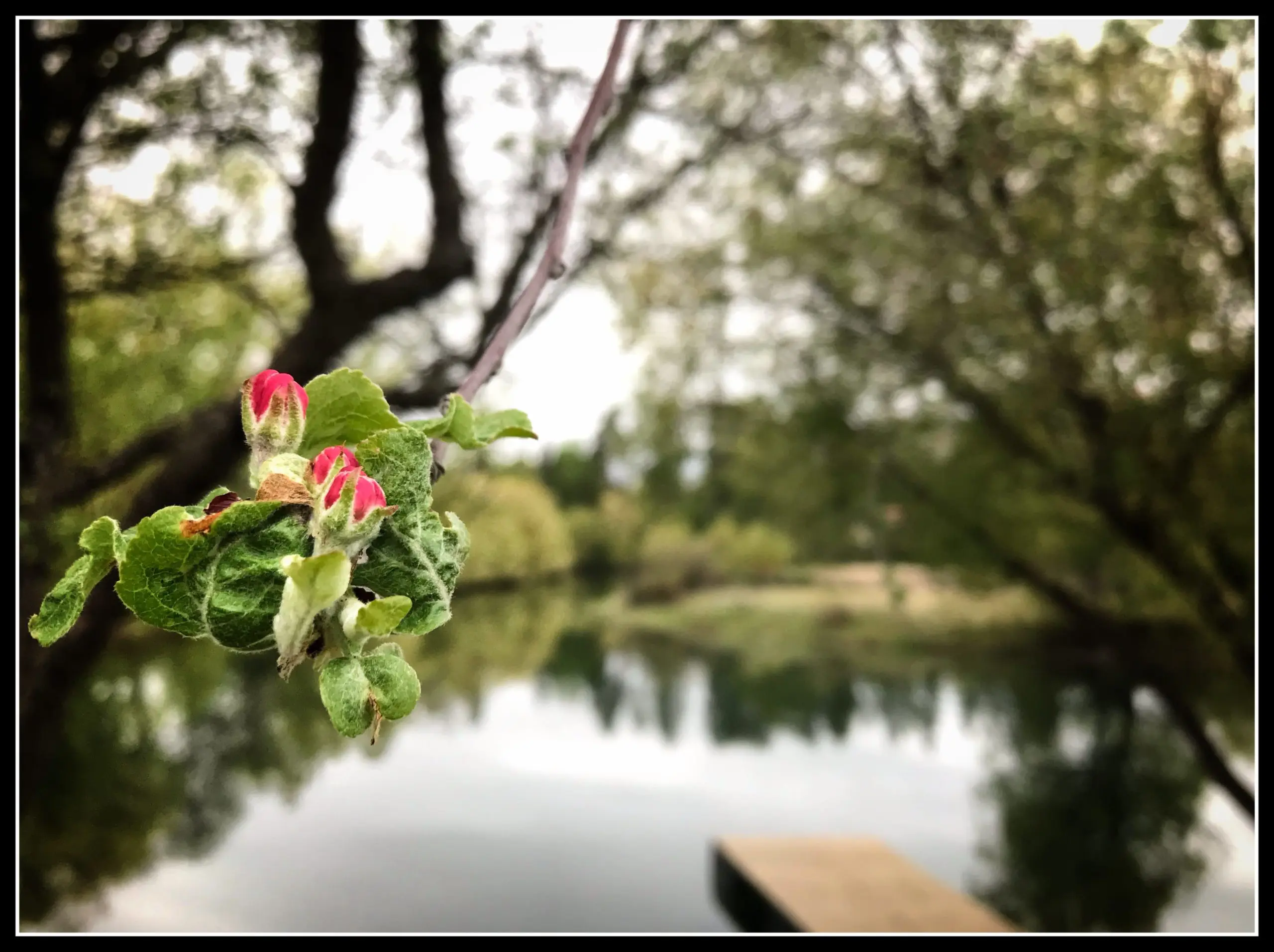 New Now Creative: Photography