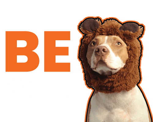 New Now Creative: Be You Dog