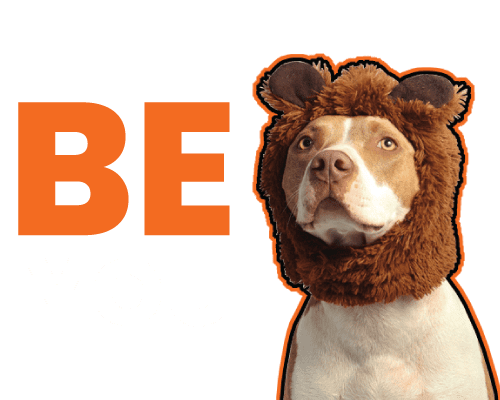 New Now Creative: Be You Dog
