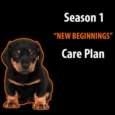 Season 1 New Beginnings. Care Plan