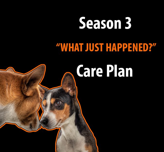 Season 3 What Just Happened? Care Plan