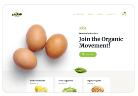 ORGANIC STORE